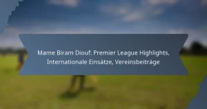 Mame Biram Diouf: Premier League Highlights, Internationale Einsätze, Vereinsbeiträge
